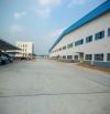 BÁN NHÀ XƯỞNG 2,6 HA KHU CÔNG NGHIỆP TẠI CỦ CHI, TP.HCM - PHÁP LÝ RÕ RÀNG SANG TÊN NGAY