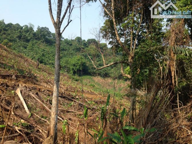 Đất Thủy Biều _Thuận Hóa_ Tp Huế