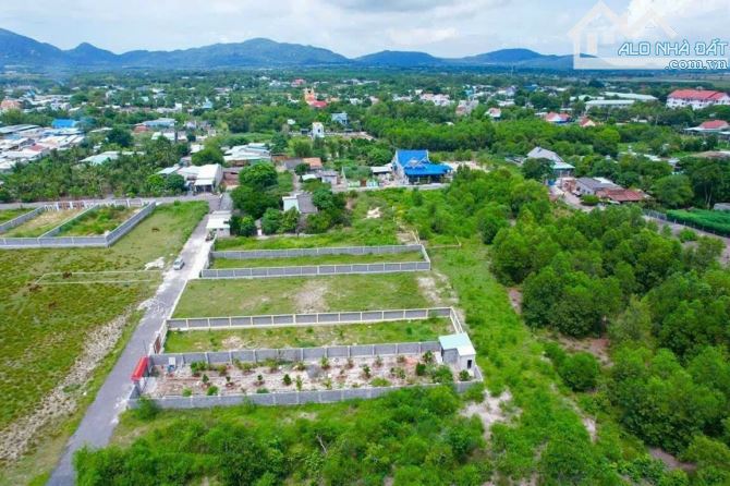 👉 500m2 xã Phước Hải (đất Phước Hội cũ) gần Uỷ ban 🌈 Ngang 10x50m sẵn 160tc