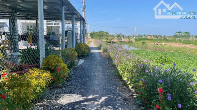 380tr B.á.n mãnh đất vườn vuông, đẹp 750m2 tại Tân Thành, Gò Công Đông, TG