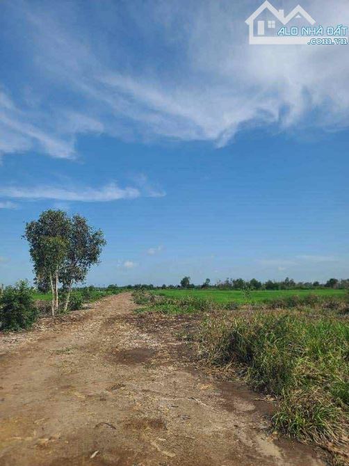 HÓT  Bán GẤP 2 Hecta Đất Nông Nghiệp MT Kênh Đông Củ Chi, , Giá Đầu Tư Chỉ 40 Tỷ