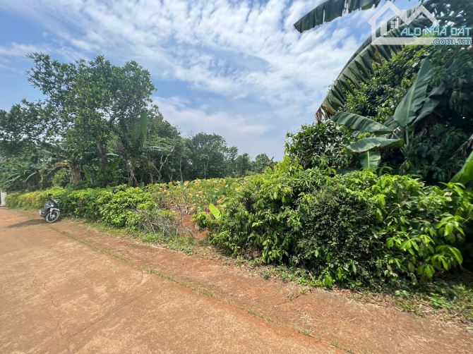 ĐẤT Ở ĐÔ THỊ - 200m RA BIỂN CỬA TÙNG, QUY HOẠCH ĐƯỜNG 15m