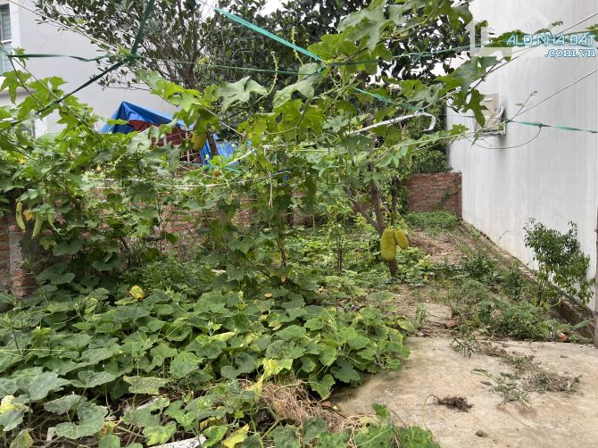 Lô đất quá đẹp 80m full.Mt:5m ,sổ nét căng -Mai Nội -Mai Đình