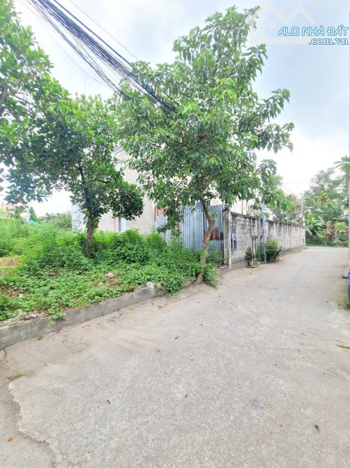2,6Tỷ TL🔥Bán đất 100,7m2 gần Bờ Hồ Biconsi 300m, p.Tân Bình, Tp.Dĩ An