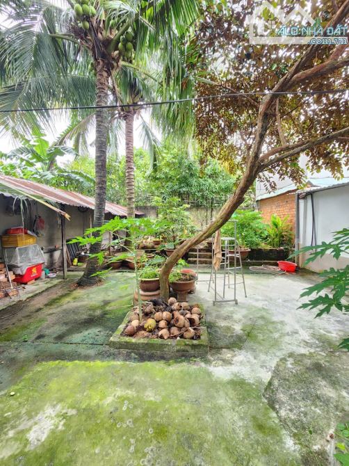 252,9m2 7ty5 TL nhà cấp 4 MT đường Bình Nhâm 16, P.Bình Nhâm Tp Thuận An - 10