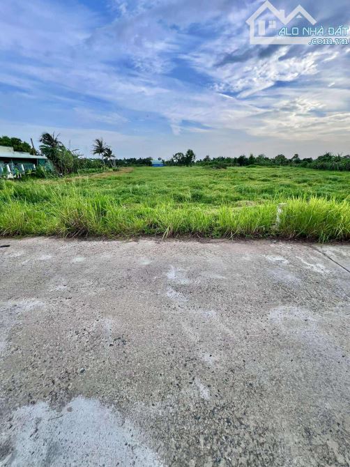 Bán đất mặt tiền bê tông gần đường quy hoạch Lê Duẫn nối dài - 1