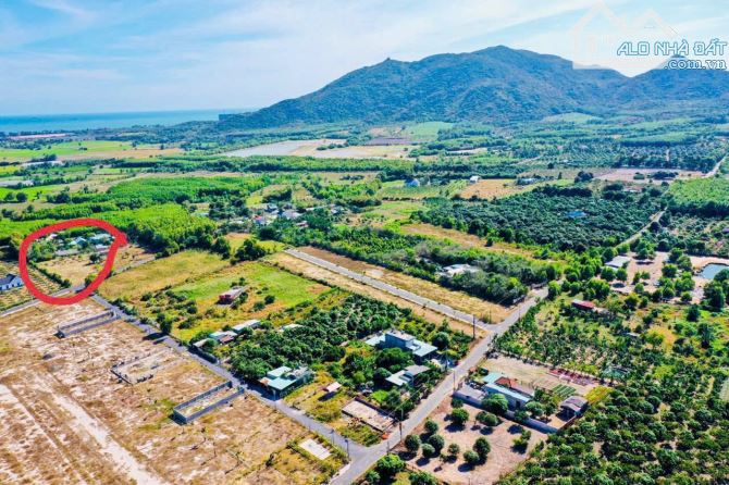 BÁN ĐẤT XÃ PHƯỚC HẢI- TP HỒ CHÍ MINH ; CÁCH BIỂN PHƯỚC HẢI CHỈ 4KM 🌈DT 2179m2 - 1