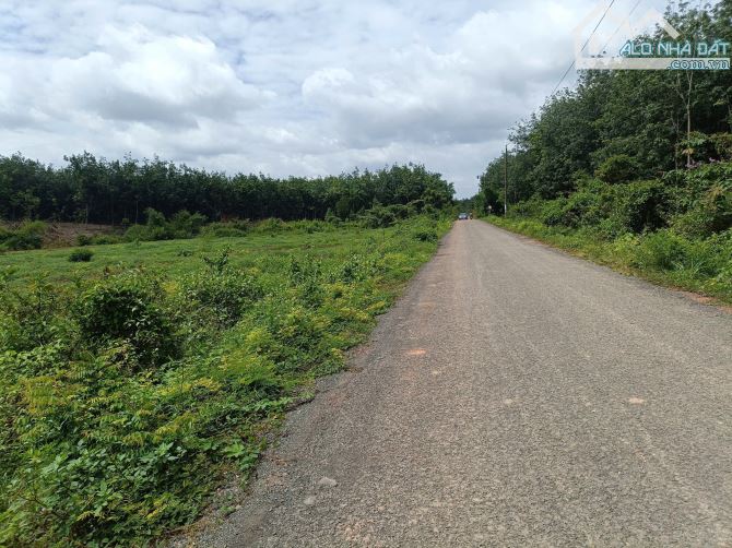 5700m2 đất Thuận lợi đường 29m giá 850tr , đất bằng phẳng - 1