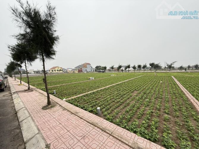 Hàng nét, đất Giao Phong, Quất Lâm 84m2 MT4.6m đường thông kinh doanh 100m ra biển - 1