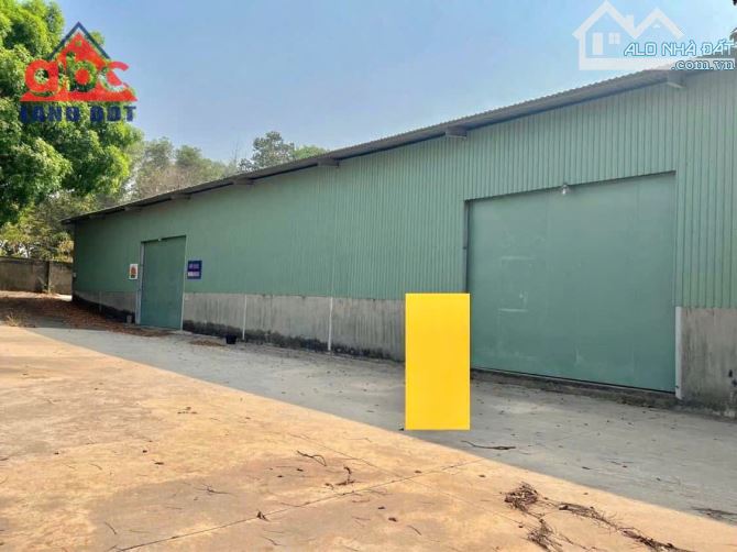 Cho Thuê Xưởng 4000m2 Giá 40trieu Thuộc Thiện Tân - 1