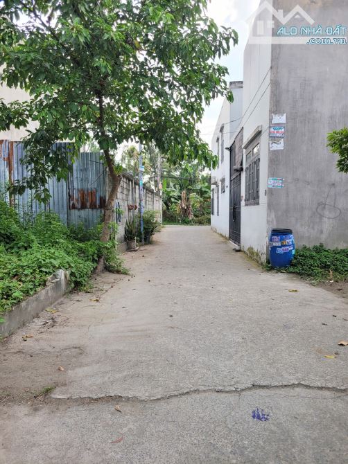 đất 100,7m2 xây tự do 2MT Trc Sau 2ty6 TL gần KDC Biconsi p.Tân Bình Tp.Dĩ An - 1