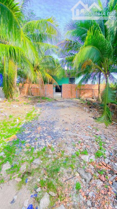 Cho thuê 630 m2 kho và sân đường Nguyễn Văn Linh 15 triệu - 12