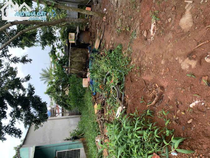 📢 CHÍNH CHỦ BÁN ĐẤT Ở TẠI XÃ HÀNG GÒN – TP LONG KHÁNH – ĐỒNG NAI - DT 146,7M²