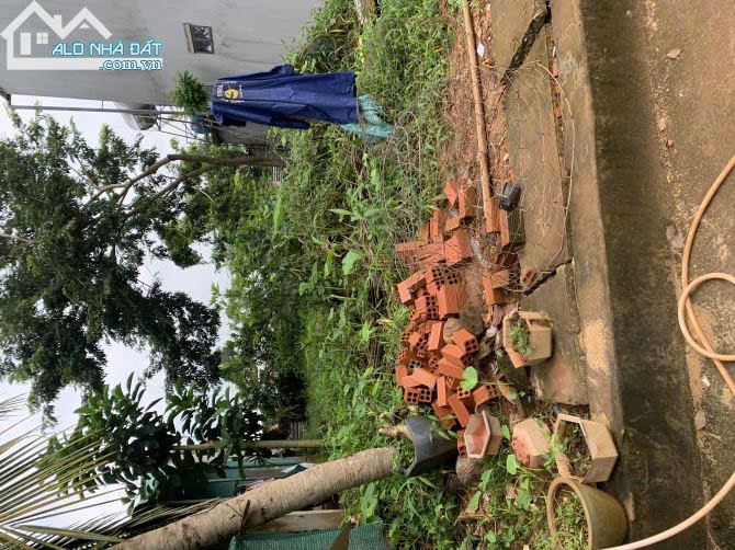 📢 CHÍNH CHỦ BÁN ĐẤT Ở TẠI XÃ HÀNG GÒN – TP LONG KHÁNH – ĐỒNG NAI - DT 146,7M² - 1