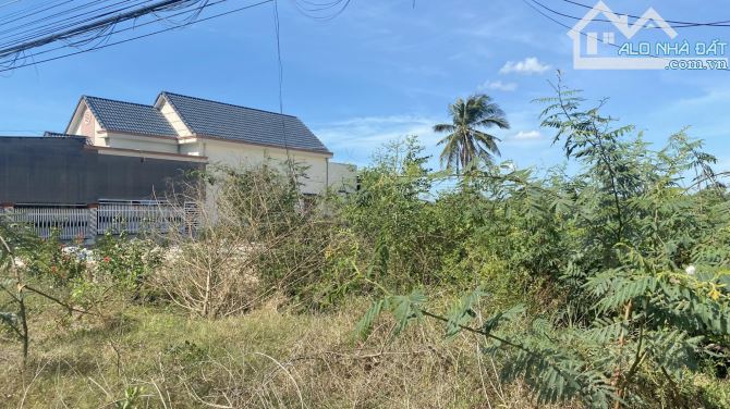 10x50(500m2) 100m2 Thổ Cư Vị Trí Trung Tâm Nguyễn Chí Thanh Giá Ngộp - 2