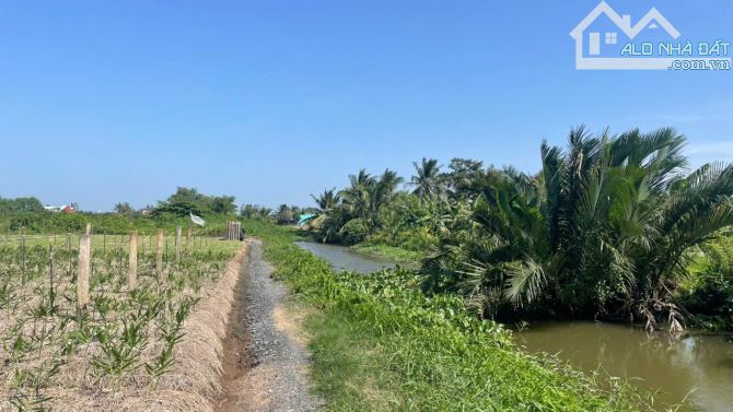 380tr B.á.n mãnh đất vườn vuông, đẹp 750m2 tại Tân Thành, Gò Công Đông, TG - 2