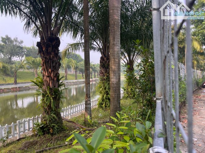 Chỉ 25 triệu/m2 có lô Biệt thự KDC bàn cờ, Tân Đông Hiệp, N.T.Minh Khai, 300m2, 100% T/cư - 2