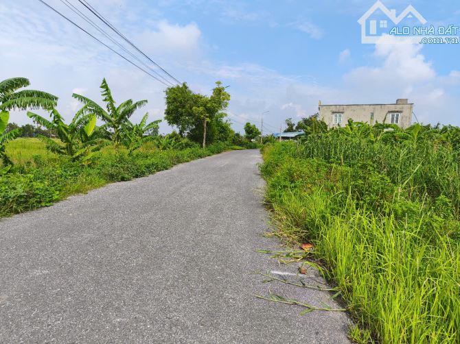 Lô đất 85m2 ngang 5m đường thông rộng ô tô tránh nhau tại Hòa Nghĩa, Dương Kinh giá tốt. - 2