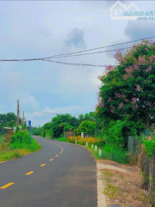 Nghỉ dưỡng yên tĩnh Thị trấn Phước Hải-dt:2577m3-có 22m mặt tiền-300thổ cư-vườn cây đẹp - 2