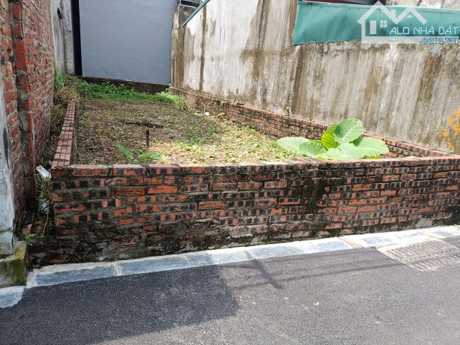 BÁN 55M ĐẤT HẢI BỐI (VĨNH THANH) ĐÔNG ANH NGÕ 4M Ô TÔ 7 CHỖ VÀO NHÀ - 2