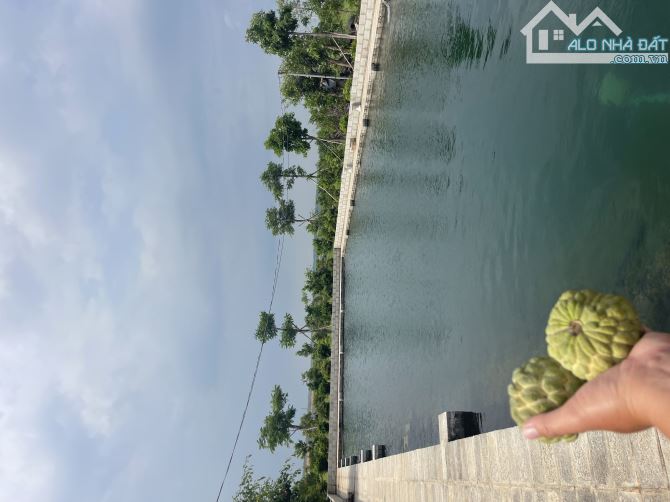 Bán đất MT đường Bê Tông xã Tiến Lợi TP Phan Thiết - 2