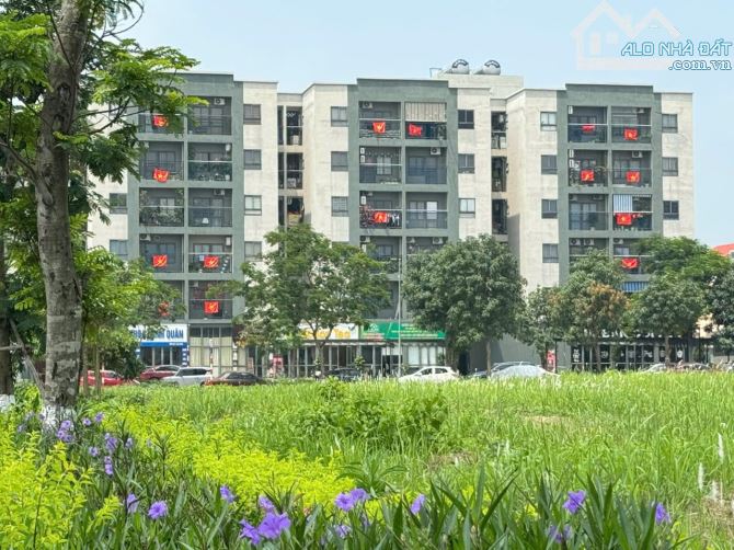 Siêu hiếm! Nhà đẹp giá tốt! Bán biệt thự Hud mê linh central 260m2 x 4 tầng MT 10m - 2