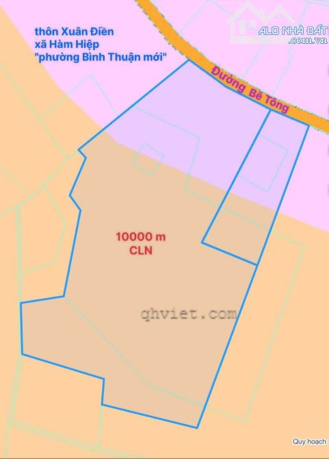 Bán đất mặt tiền bê tông gần đường quy hoạch Lê Duẫn nối dài - 3