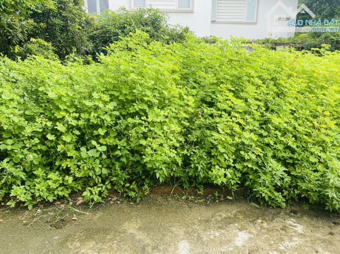Hơn 1 tỷ sở hữu 51m2 đất Nội Bài-MT 6,2m-gần đường ô tô tránh. - 3