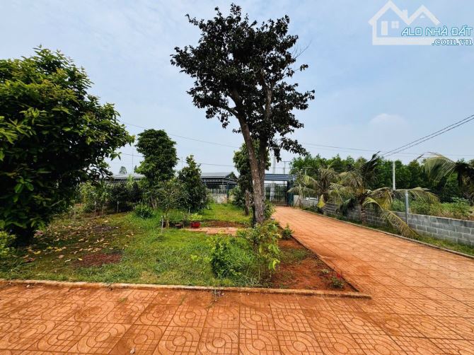 Nhà Vườn Thị Trấn Đất Đỏ - Huyện Long Đất- Gần Biển Phước Hải 🏡 Bán kính 2km - 3