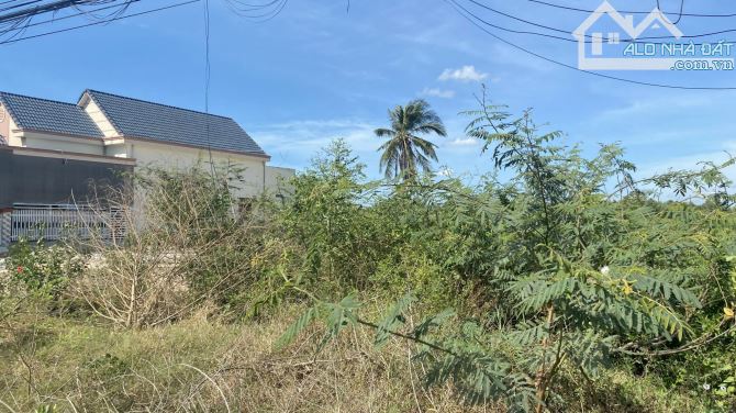 10x50(500m2) 100m2 Thổ Cư Vị Trí Trung Tâm Nguyễn Chí Thanh Giá Ngộp - 3