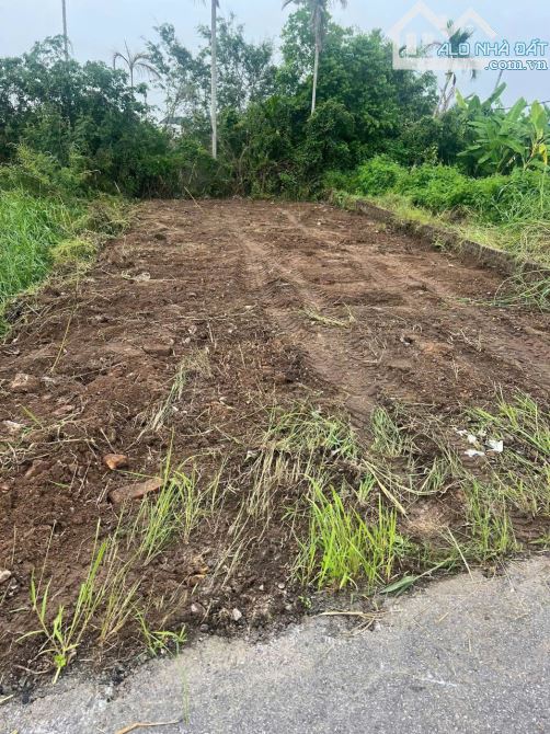 Lô đất 85m2 ngang 5m đường thông rộng ô tô tránh nhau tại Hòa Nghĩa, Dương Kinh giá tốt. - 3