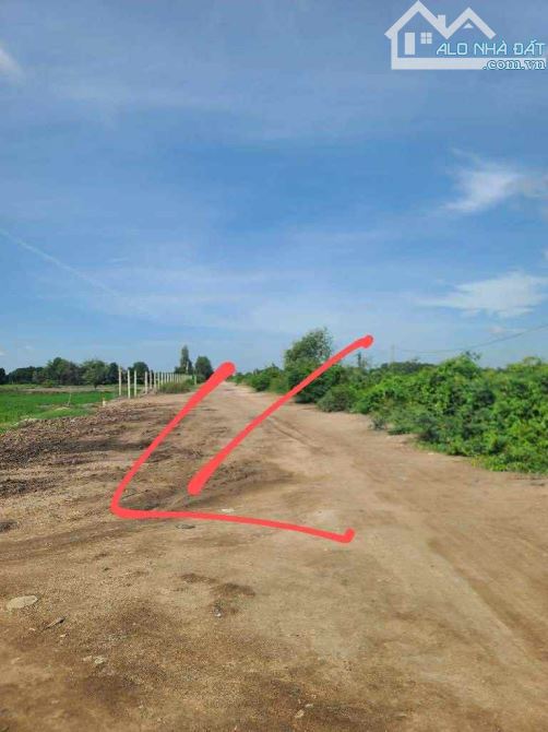 HÓT  Bán GẤP 2 Hecta Đất Nông Nghiệp MT Kênh Đông Củ Chi, , Giá Đầu Tư Chỉ 40 Tỷ - 3