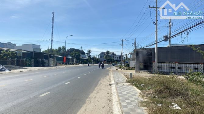 10x50(500m2) 100m2 Thổ Cư Vị Trí Trung Tâm Nguyễn Chí Thanh Giá Ngộp - 4
