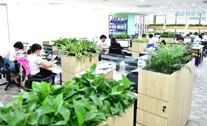 BÁN TÒA NHÀ VĂN PHÒNG MẶT PHỐ BÀ TRIỆU - HOÀN KIẾM - 600M2 x 12 TẦNG, Giá 1.2 tỷ/m2 - 5
