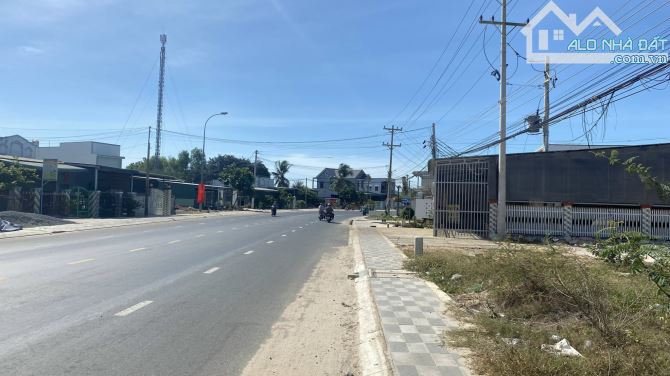 10x50(500m2) 100m2 Thổ Cư Vị Trí Trung Tâm Nguyễn Chí Thanh Giá Ngộp - 5
