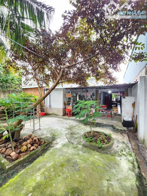 252,9m2 7ty5 TL nhà cấp 4 MT đường Bình Nhâm 16, P.Bình Nhâm Tp Thuận An - 8