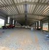 Cho Thuê 17.890m2 Nhà Xưởng Mới Tại Bàu Bàng, Dầu Tiếng Bình Dương