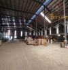 Bán Nhà Xưởng Sản Xuất Cụm KCN SÔNG MÂY 12000m2