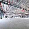 XT414 Cho thuê xưởng 1Ha3 mới 100% Đạt Chuẩn Hạng A Quốc Tế -KCN Nhơn Trạch Tỉnh ĐN