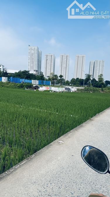📍 41m² – tại Mai Hiên, Mai Lâm, Đông Anh ✅ Vị trí đẹp, đất vuông vắn, giao thông thuận