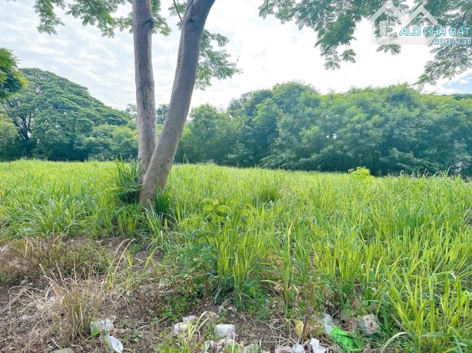 Cần chuyển nhượng gấp hơn 1ha6 đất skc trong cụm kcn biên hoà - đồng nai 👉 Giá chỉ gần 4