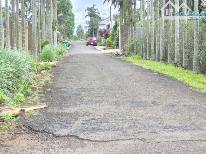 BÁN ĐẤT ĐẠT LY HÒA THUẬN.TP BMT ĐƯỜNG NHỰA 2ÔTÔ DÂN CƯ HIỆN HỮU 950TR 5X26 TC60M  HƯỚNG SẴ - 1