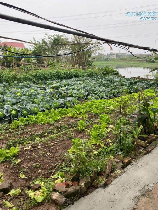 Bán 100,7m thôn Dũng Tiến. Giáp quy hoanch VD4, View sông Đồng Quê cực hiêm. Chỉ 3 tỷ - 1
