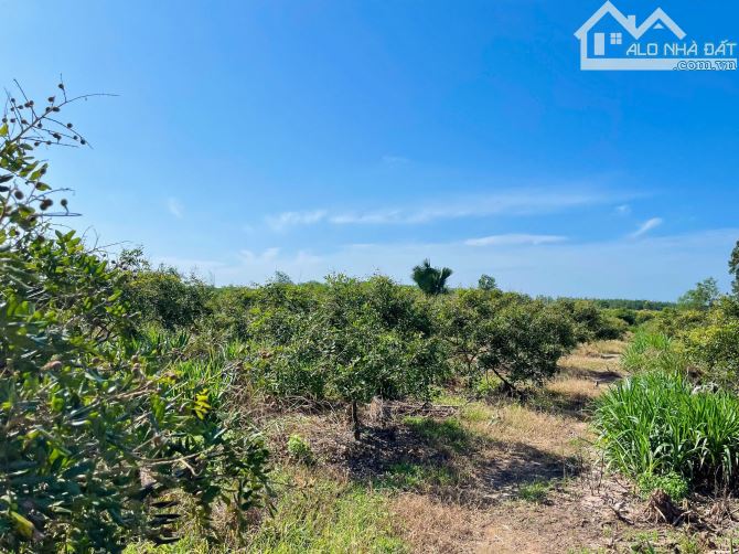 Cần bán 9.580m2 đất thổ cư mặt tiền nhựa, khu dân cư, gần biển giá đầu tư - 1
