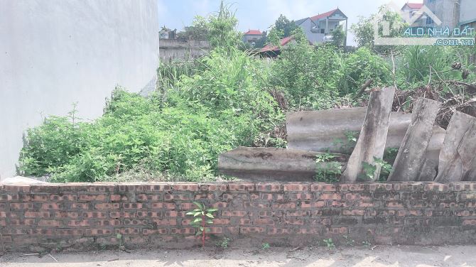 50m thôn Đầm ( Vân Nội) Phúc Thịnh Hà Nội. Đường thông ô tô tránh. - 1