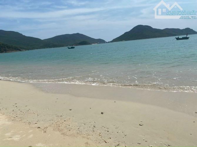 Bán đất TDC Bãi Bàng phường Đông Ninh Hòa ( Ninh Vân cũ ) - 1