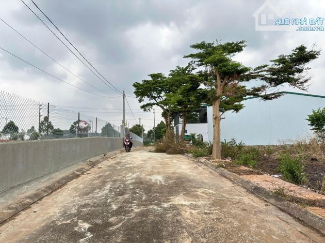 ĐẤT KHU DÂN CƯ THÀNH ĐỒNG 3 - PHƯỜNG KHÁNH XUÂN - NGAY BẾN XE PHÍA NAM - TP BMT - 2