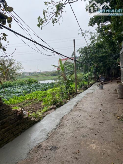 Bán 100,7m thôn Dũng Tiến. Giáp quy hoanch VD4, View sông Đồng Quê cực hiêm. Chỉ 3 tỷ - 2