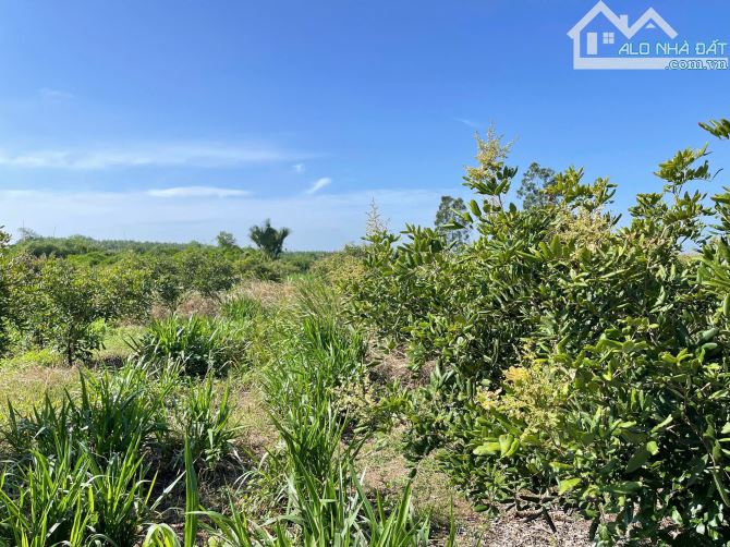 Cần bán 9.580m2 đất thổ cư mặt tiền nhựa, khu dân cư, gần biển giá đầu tư - 2