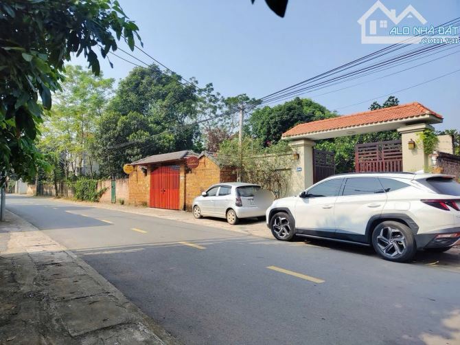 3 lô hàng F0 trục chính kinh doanh giá chỉ hơn 3x tý xíu - 2